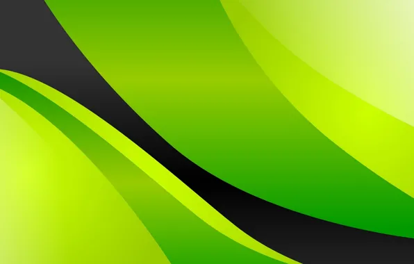 Picture green, background, black