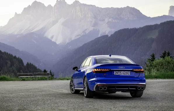 Blue, Audi, sedan, rear view, Audi A4, Audi S4, 2019