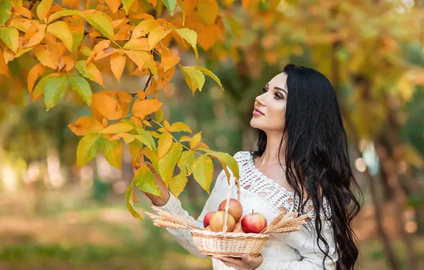 Autumn, leaves, hair, apples, Girl, brunette, A Diakov George