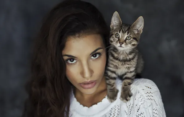 Look, girl, face, kitty