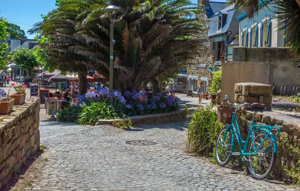 Greens, summer, the sun, trees, flowers, bike, street, France