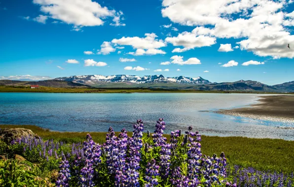 Picture the sky, clouds, flowers, mountains, river, shore, house, Sunny