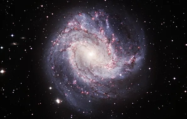 Galaxy, constellation, spiral, Hydra, NGC 5236, M 83, The Southern Pinwheel