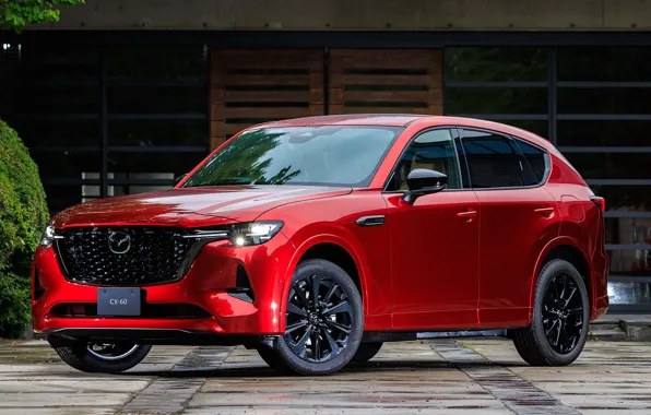 Mazda, crossover, exterior, for Japan, CX-60