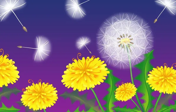 Picture background, dandelions, fuzzes, yellow, gray, vector graphics
