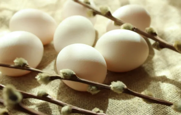 Macro, light, branches, holiday, eggs, spring, Easter, shadows