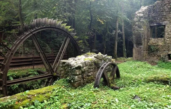 Picture forest, trees, nature, ruins, architecture, water mill