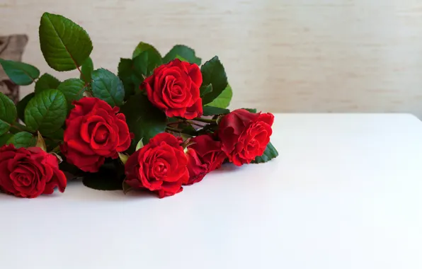 Picture red, roses, red, flowers, roses