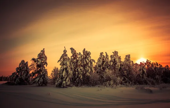 Winter, landscape, sunset, nature