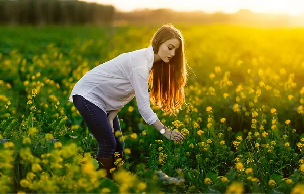 Picture Girl, Light, Sun, Beauty, Summer, April, Beam