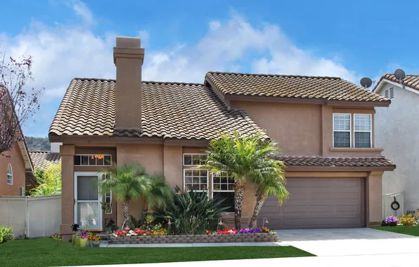 Design, the city, palm trees, photo, lawn, home