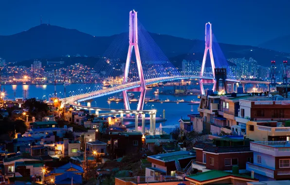 Bridge, building, home, Bay, night city, South Korea, South Korea, Busan