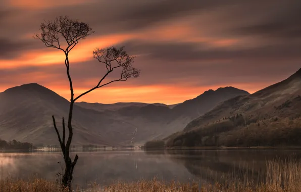 Sunset, mountains, lake, tree, England, England, The lake district, Lake District