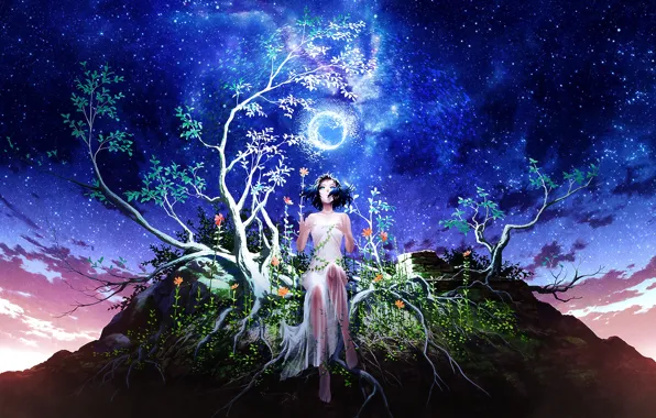 Picture the sky, girl, stars, trees, night, branches, the moon