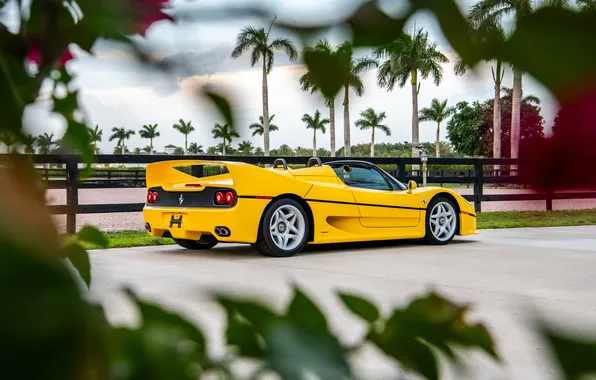 Ferrari, sports car, convertible, 1995, F50, Ferrari F50