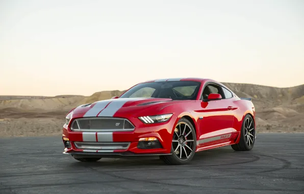 Mustang, Ford, Shelby, 2015