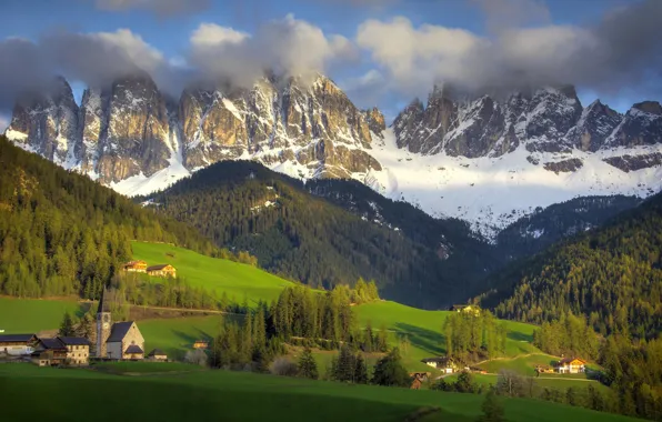 Forest, landscape, mountains, nature