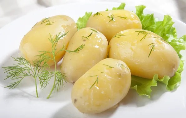 Greens, macro, close-up, oil, food, dill, plate, potatoes