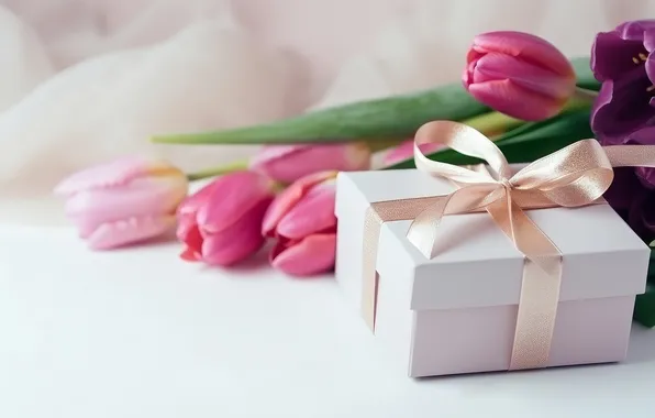 Flowers, holiday, gift, bouquet, tulips, white background, pink, bow