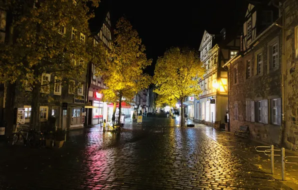 Trees, home, Night, The city, Lights, Pavers, Windows, after the rain