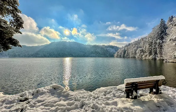 Winter, forest, snow, mountains, lake, bench