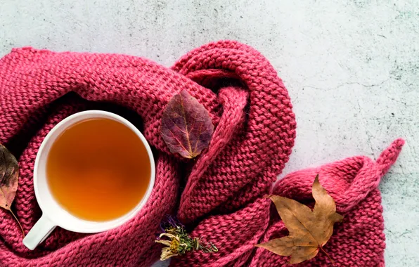 Autumn, leaves, heat, tea, Cup, autumn, knitting, knitted thing