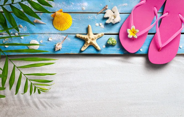 Beach, summer, stars, stay, hat, glasses, shell, summer
