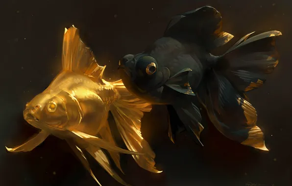 Fish, art, goldfish, a couple, golden fish