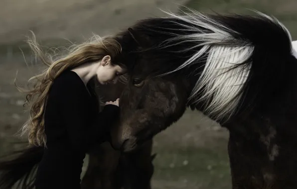 Picture girl, background, horse