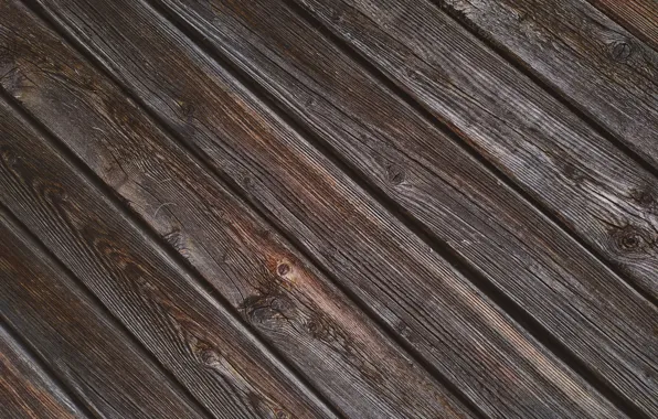 Trees, line, Board, the fence, symmetry