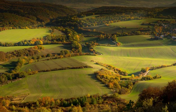 Autumn, forest, light, trees, hills, the slopes, field, road