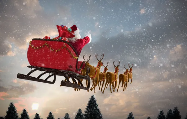 Winter, forest, the sky, clouds, snow, flight, pose, ate