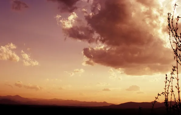 Picture the sky, grass, clouds, landscape, plants, nature, view, clouds