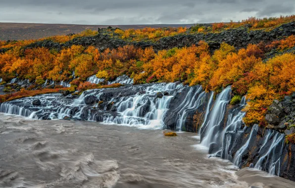 Autumn, forest, trees, yellow, river, rocks, shore, for