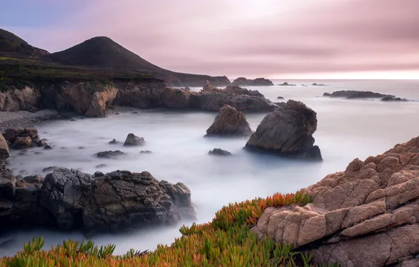 California, Big Sur, Garrapata State Park