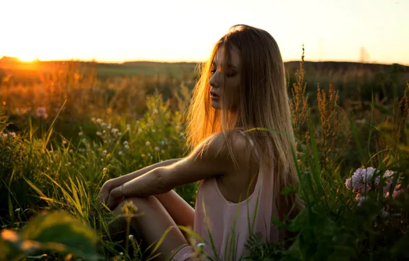Picture field, grass, girl, sunset, flowers, ideal, sweetheart, portrait