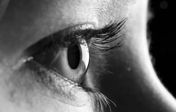 Picture black and white, eye, closeup
