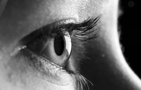 Black and white, eye, closeup