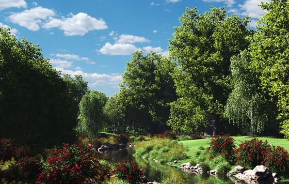 Picture forest, clouds, flowers, nature, stream, stones, the bushes