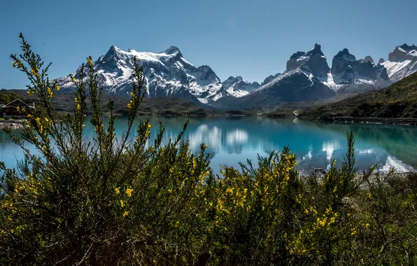 Picture mountains, lake, house, shore, the bushes, Chile