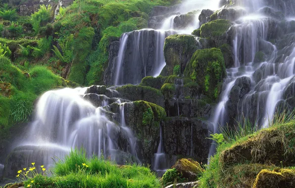 Picture grass, nature, stones, waterfall, cascade