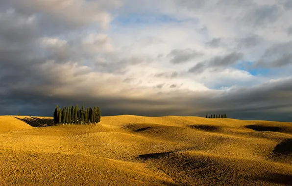 Picture landscape, nature, tuscany