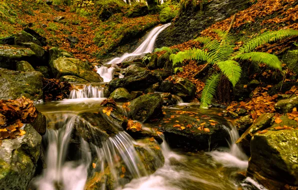 Autumn, leaves, stones, foliage, waterfall, Spain, fern, cascade