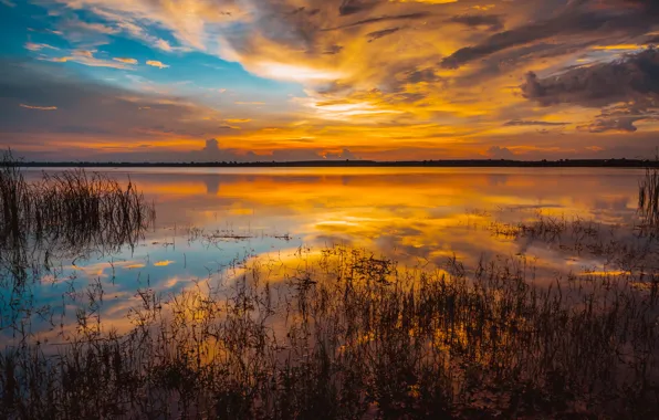 Picture sea, the sky, water, clouds, sunset, lake, golden, gold