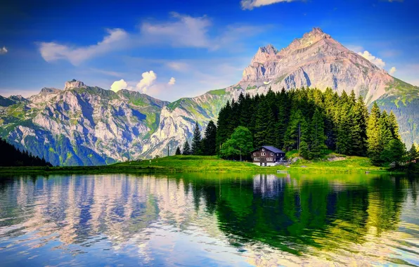 Forest, mountains, lake, reflection, house, bright colors