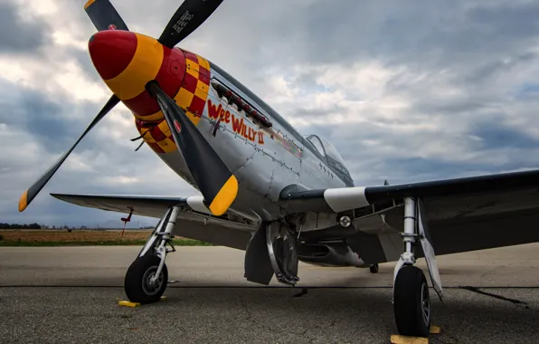 The sky, fighter, screws, the airfield