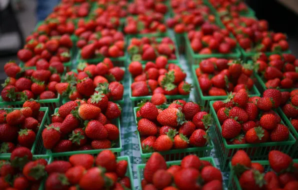 Picture berries, strawberry, red, a lot