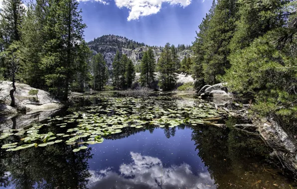 Lake, The sky, Landscape