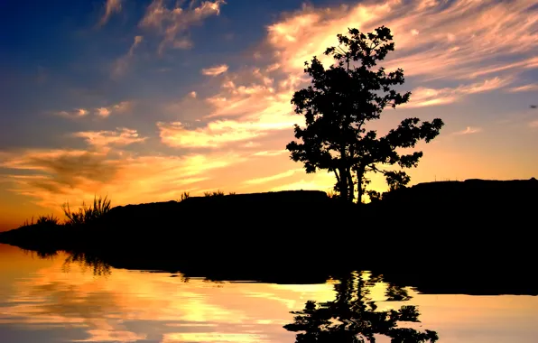 Picture the sky, trees, sunset, mountains, lake, silhouette