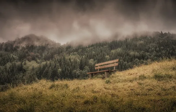 Wallpaper nature, fog, bench for mobile and desktop, section природа ...